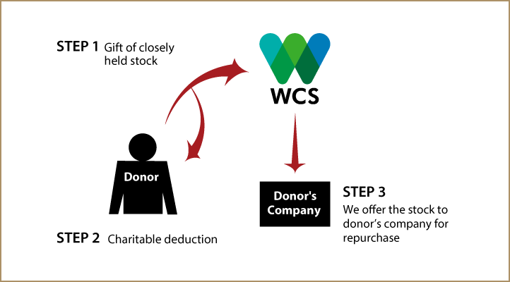 Closely Held Business Stock Diagram. Description of image is listed below.