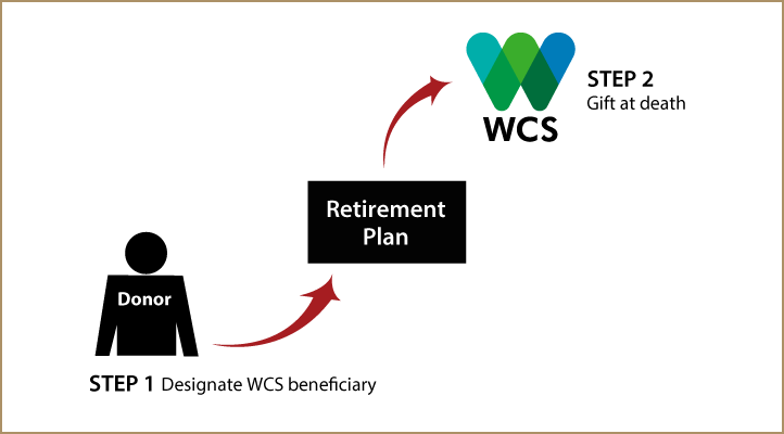 Gifts from Retirement Plans at Death Thumbnail