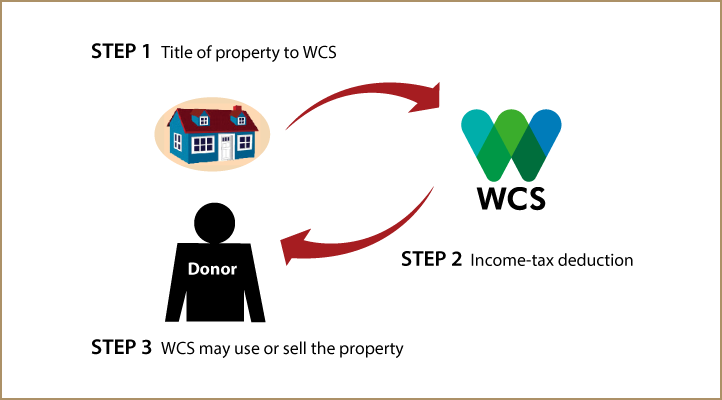 Outright Gift of Real Estate Thumbnail