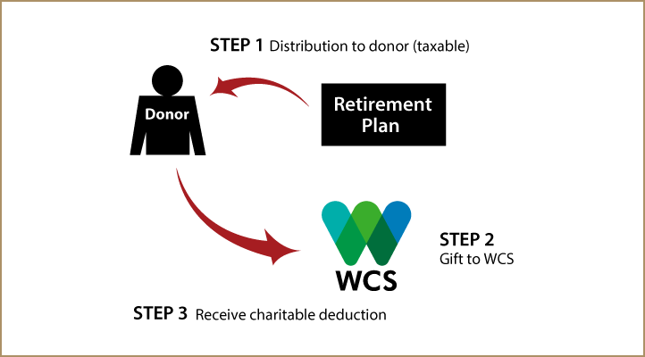 Gifts from Retirement Plans During Life Thumbnail