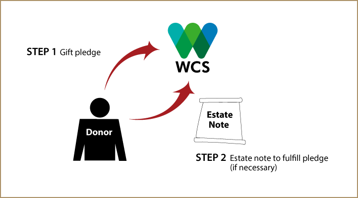 Gifts by Estate Note Diagram. Description of image is listed below.