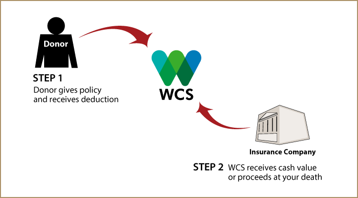 Life Insurance Policy Thumbnail