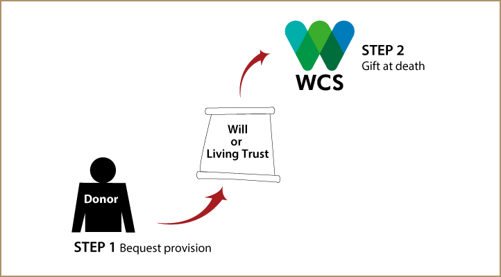 Gifts by Will Diagram. Description of image is listed below.